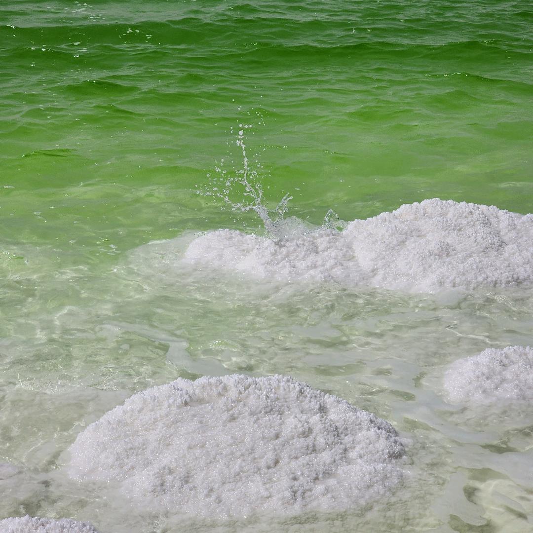 hahahahaha（土豆🥔）