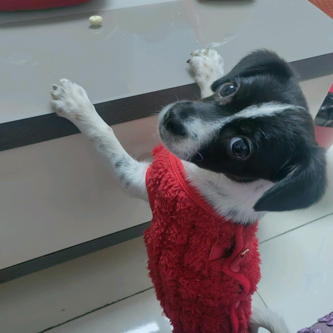 今生的我