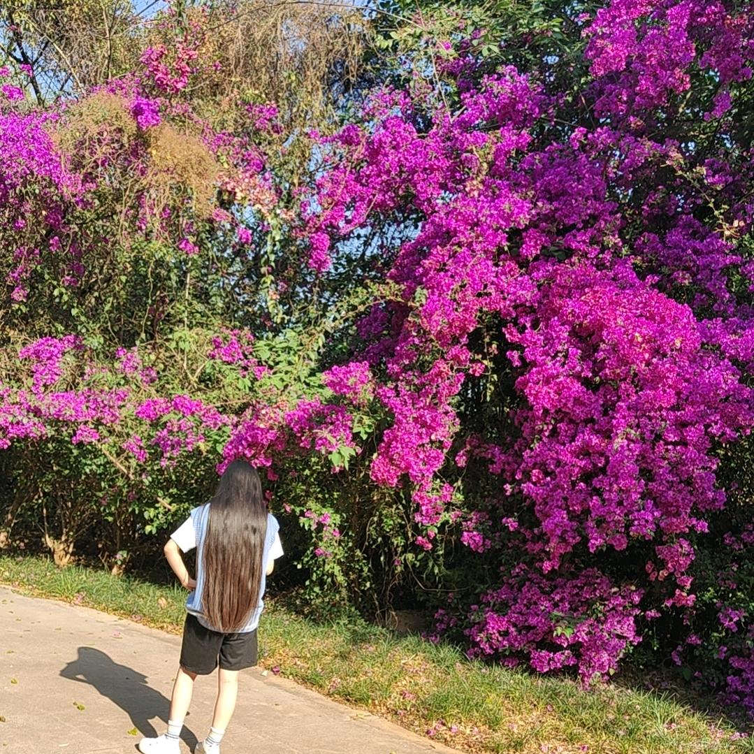 幸运百分百