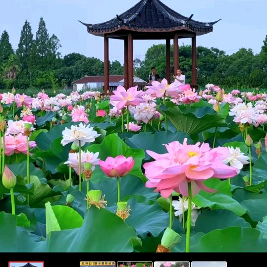 狂奔㇏蜗牛
