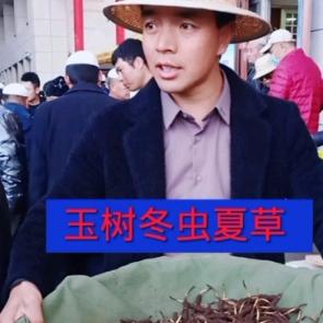 马占伟🐛虫草讲解