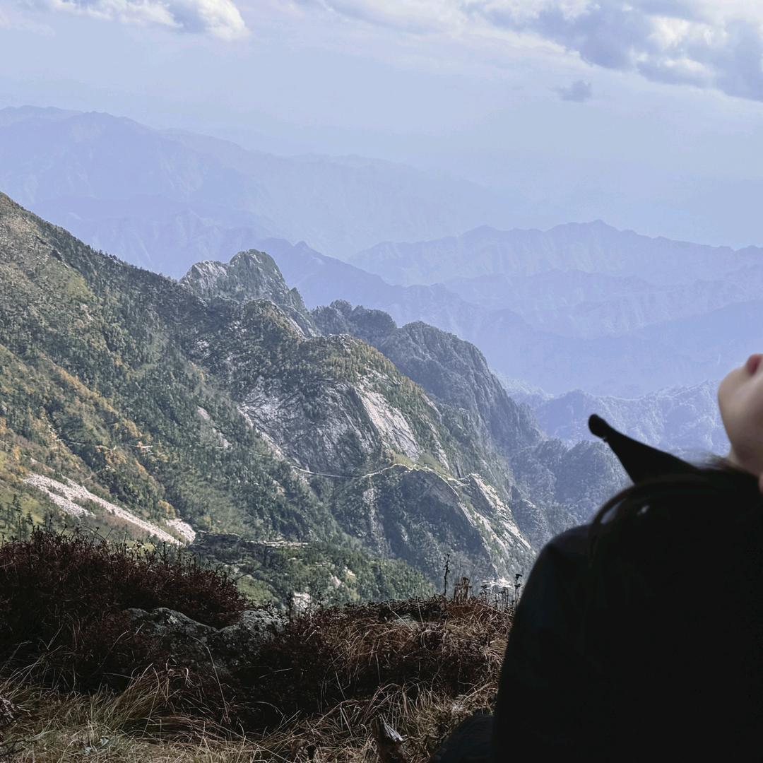 山有木兮没有吱