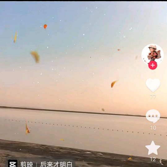 飞龙