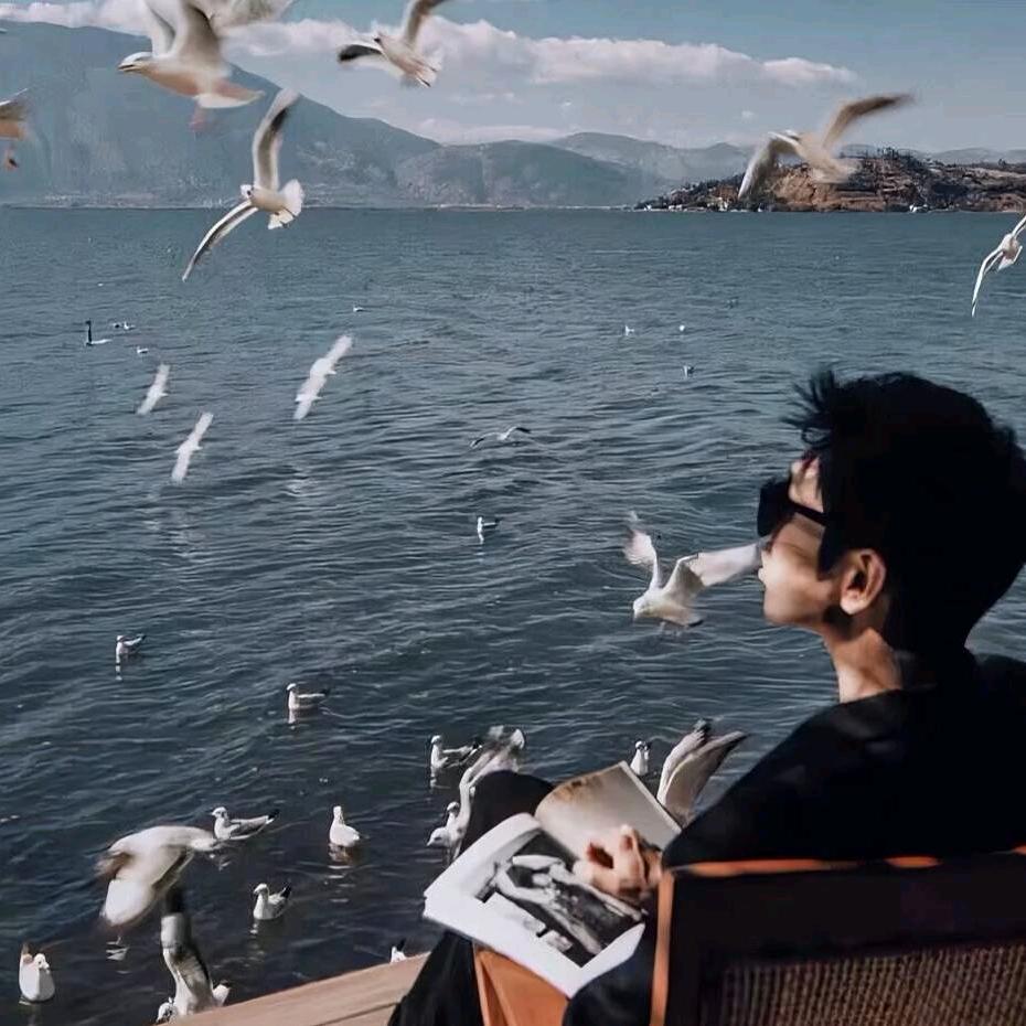 夜叶总（三角洲行动）