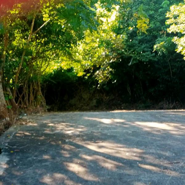 故乡情，故乡人。