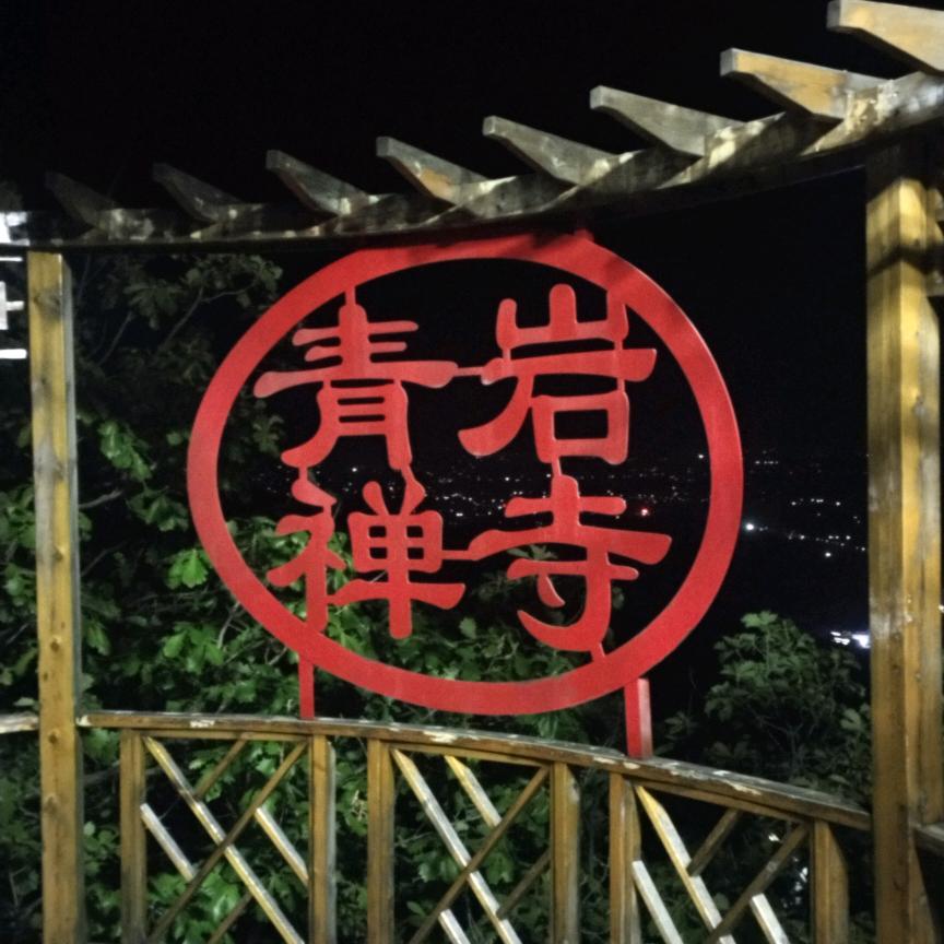 跃亮
