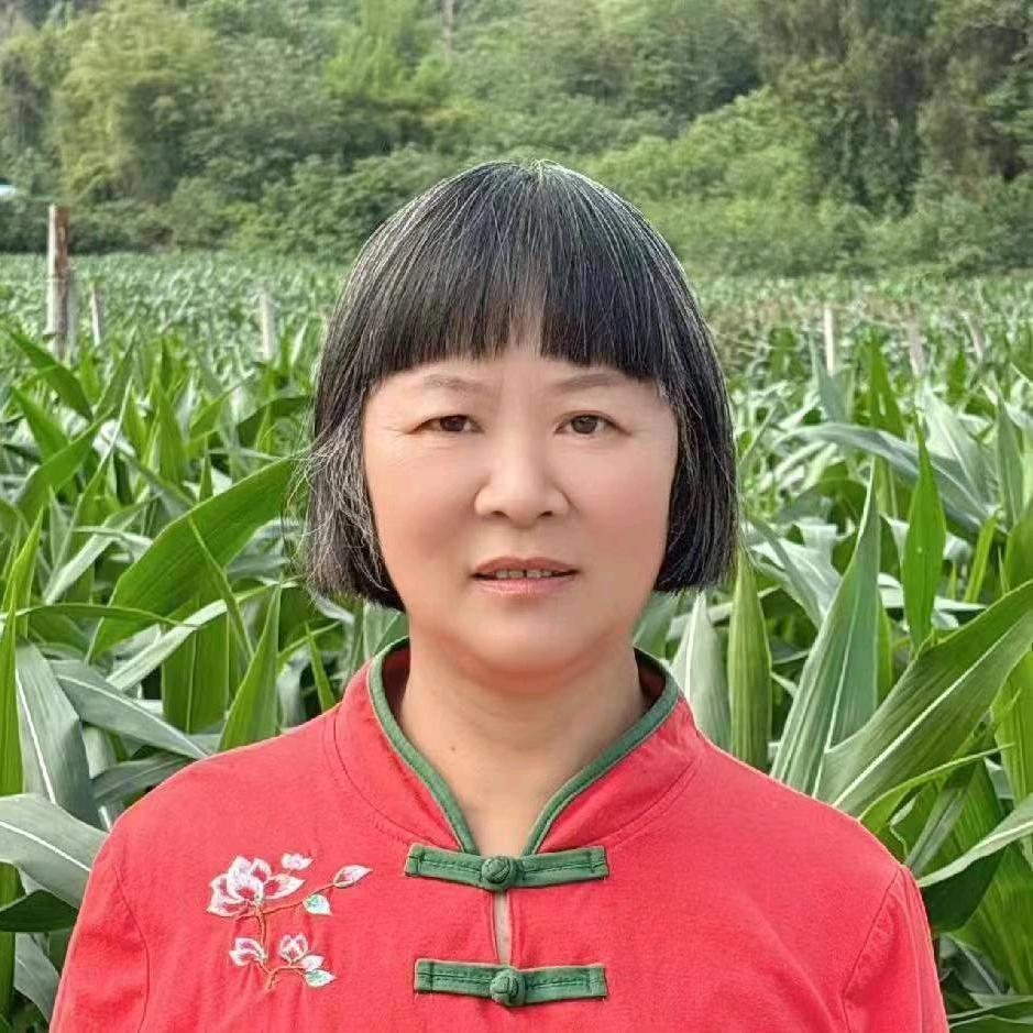 阳姐首播