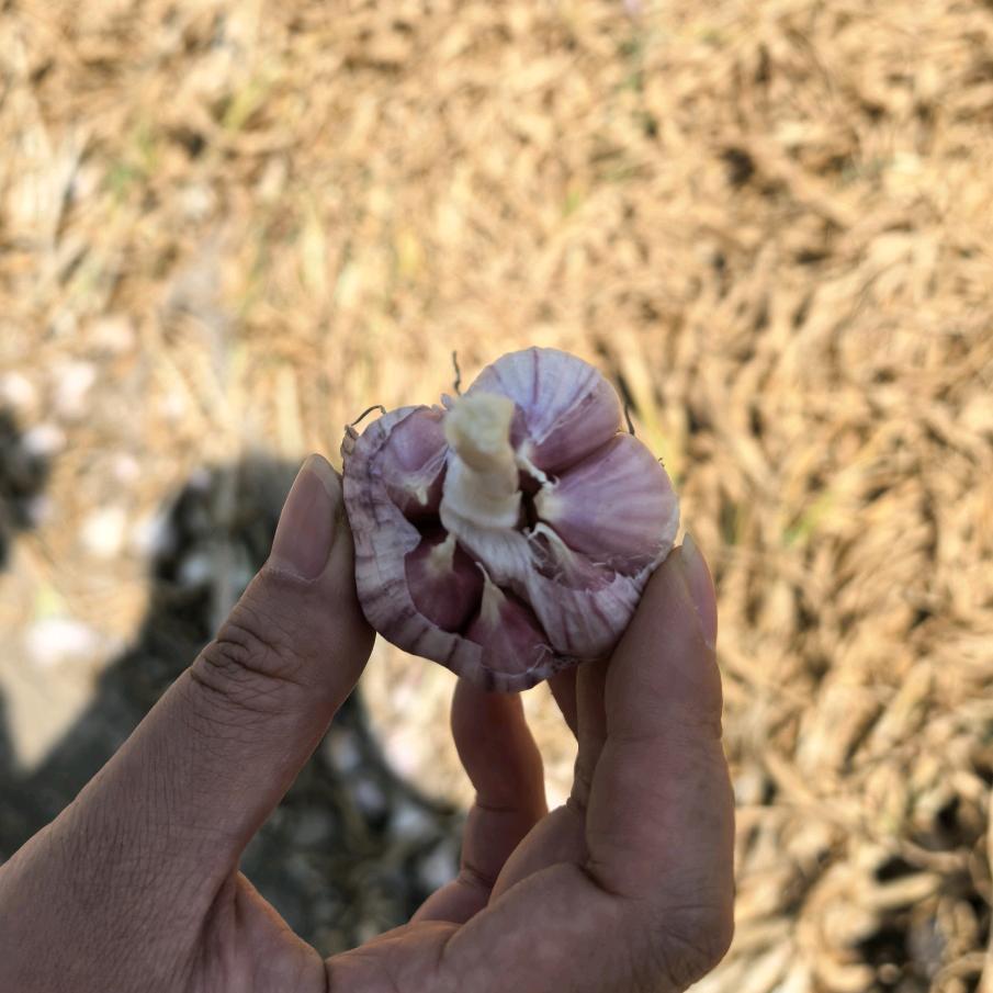 宝坻小影优选农产品