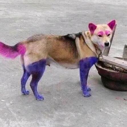 过期安眠药💅🏻