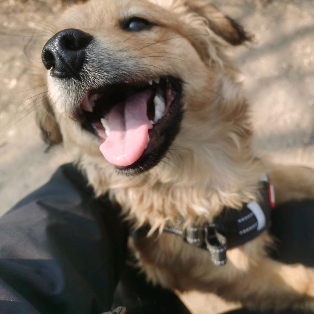 王德发（三角洲行动）