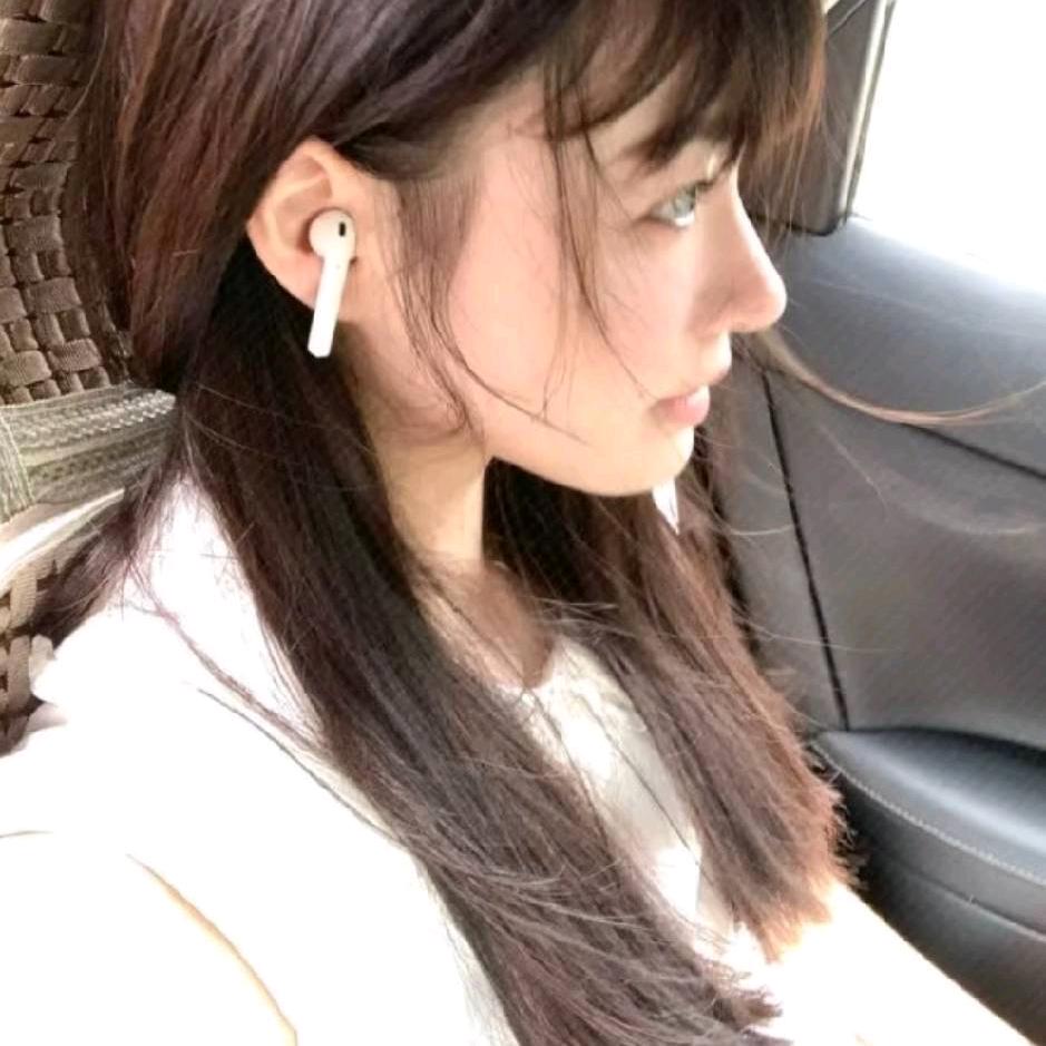 布偶