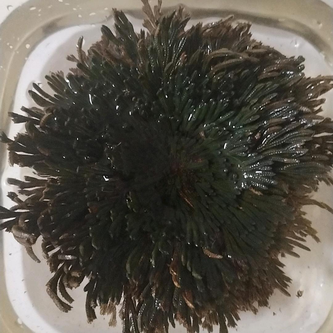 电线电缆资深专服