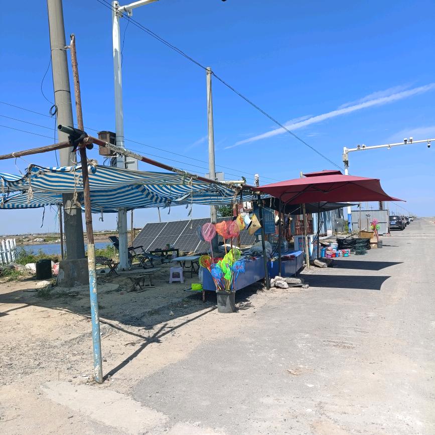 孤东海堤401赶海工具大全