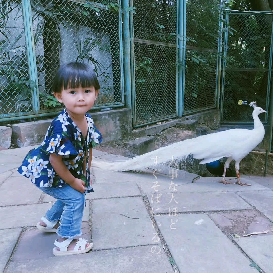 矣光林