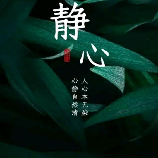 《杉杉有礼🙏🙏🙏》
