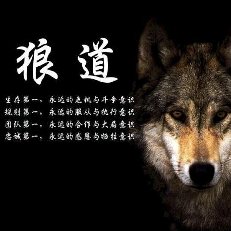 西伯利亚狼