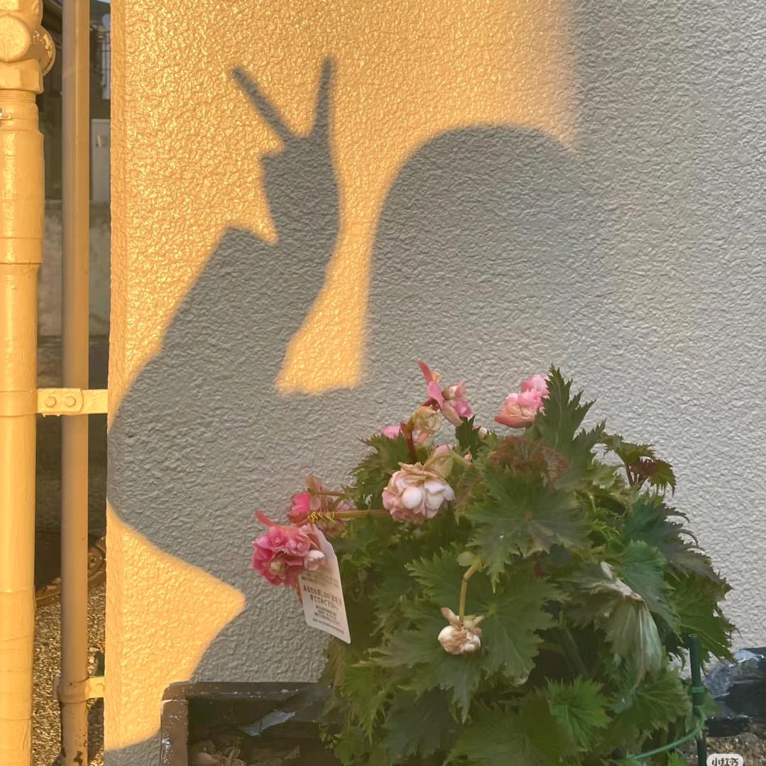 新现代咨询铺子