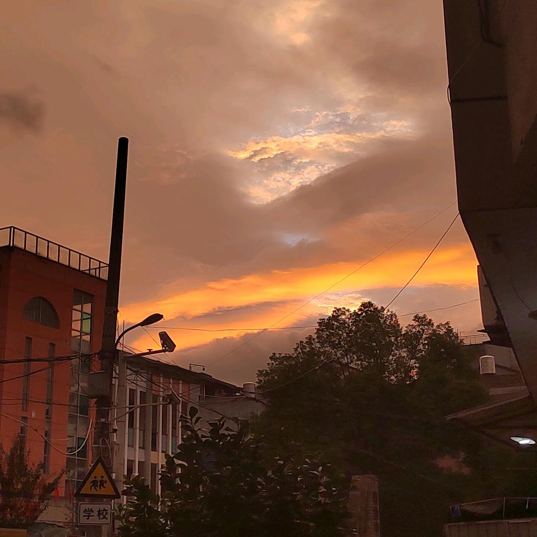 牵着小狗看落日