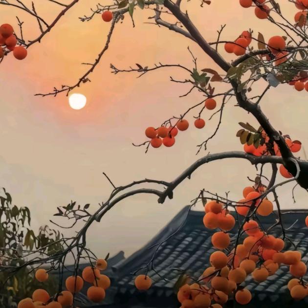 嘉佑甄选