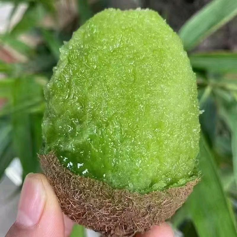 张建龙周至猕猴桃严选店