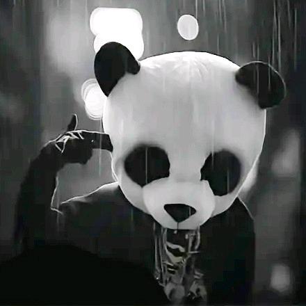 跳墙的狗子