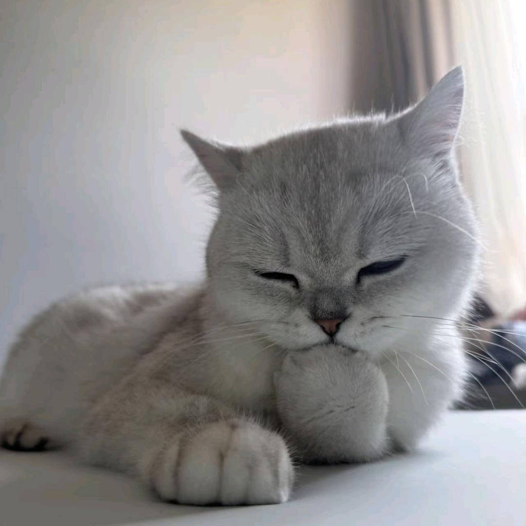 轻语