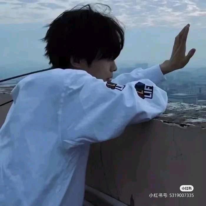 爱意落于冬天
