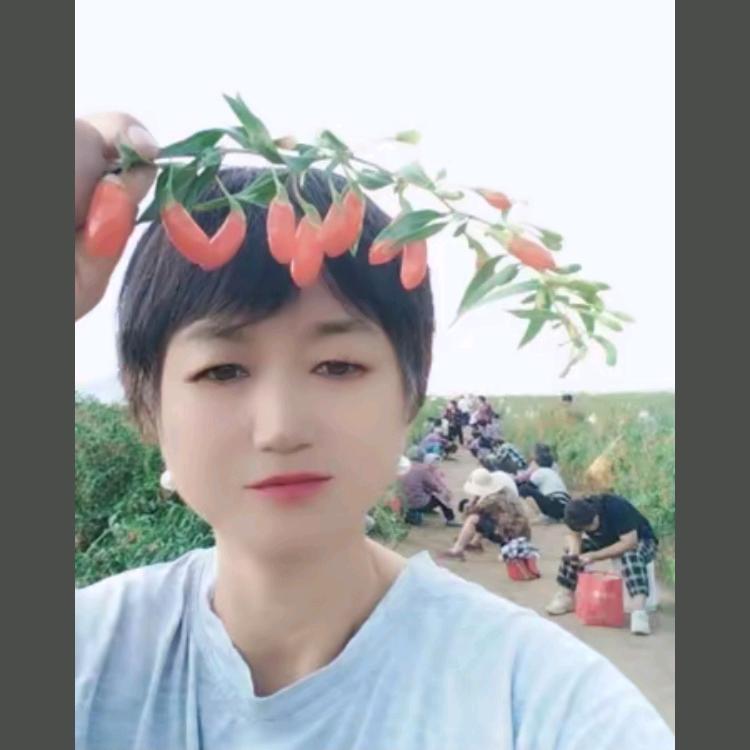 鹿邑试量小米招工