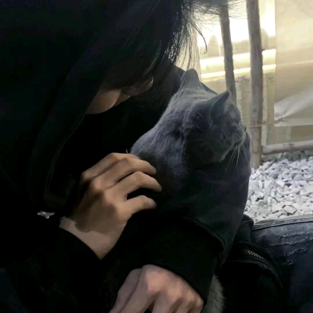 炸毛小狗