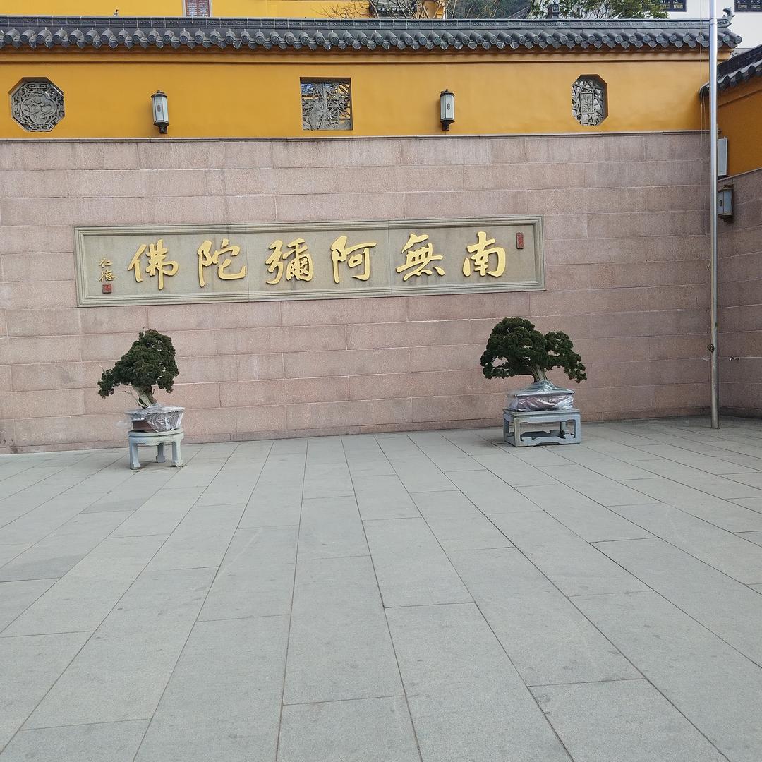 不能成为你的偏爱与莉外