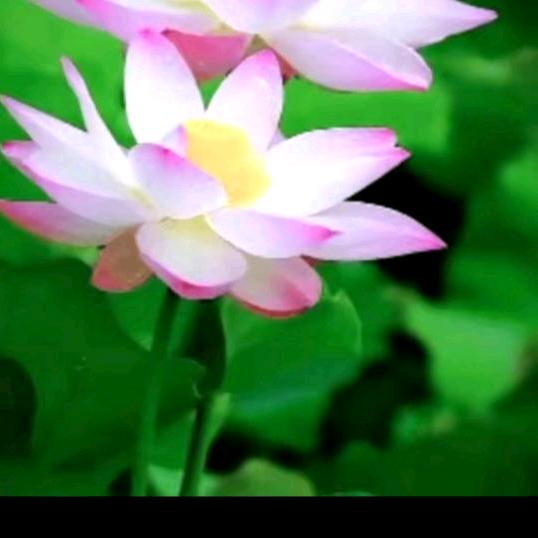 顺其自然好心情