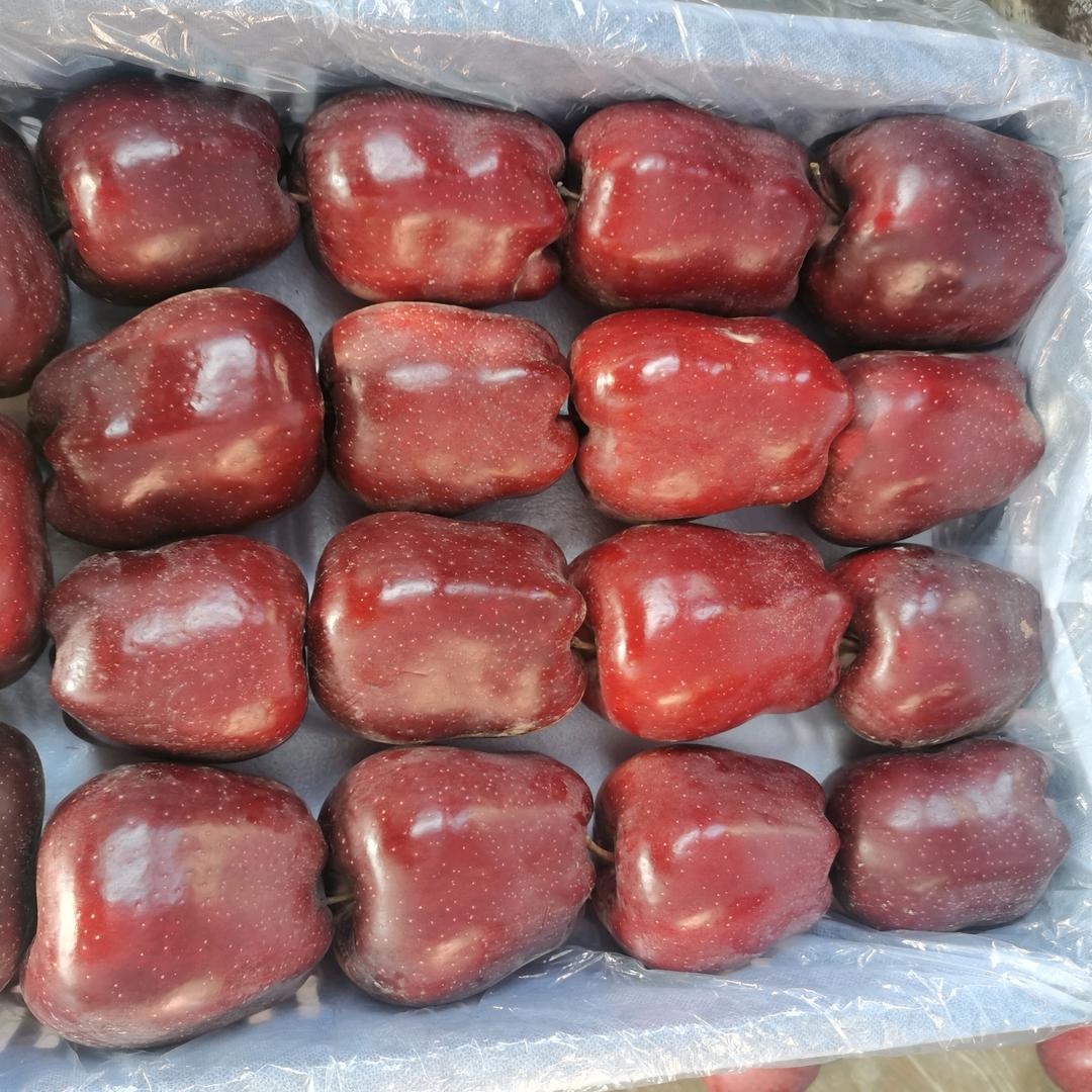 甘谷花牛苹果代收代发小康