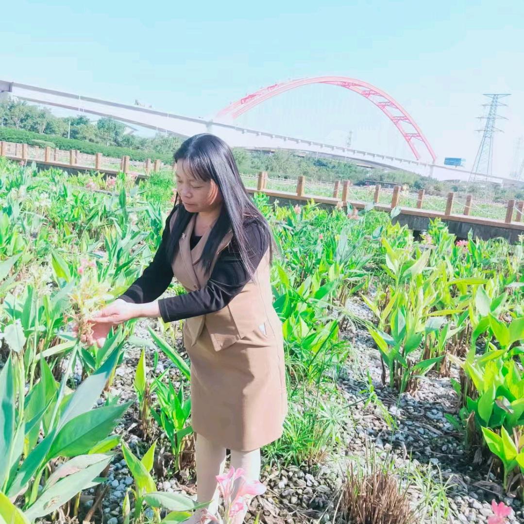 武鸣区的林家妹子