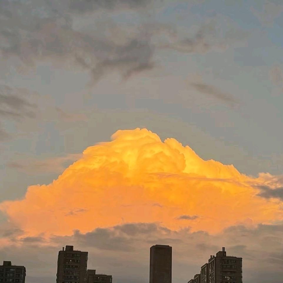 墨染夕沉