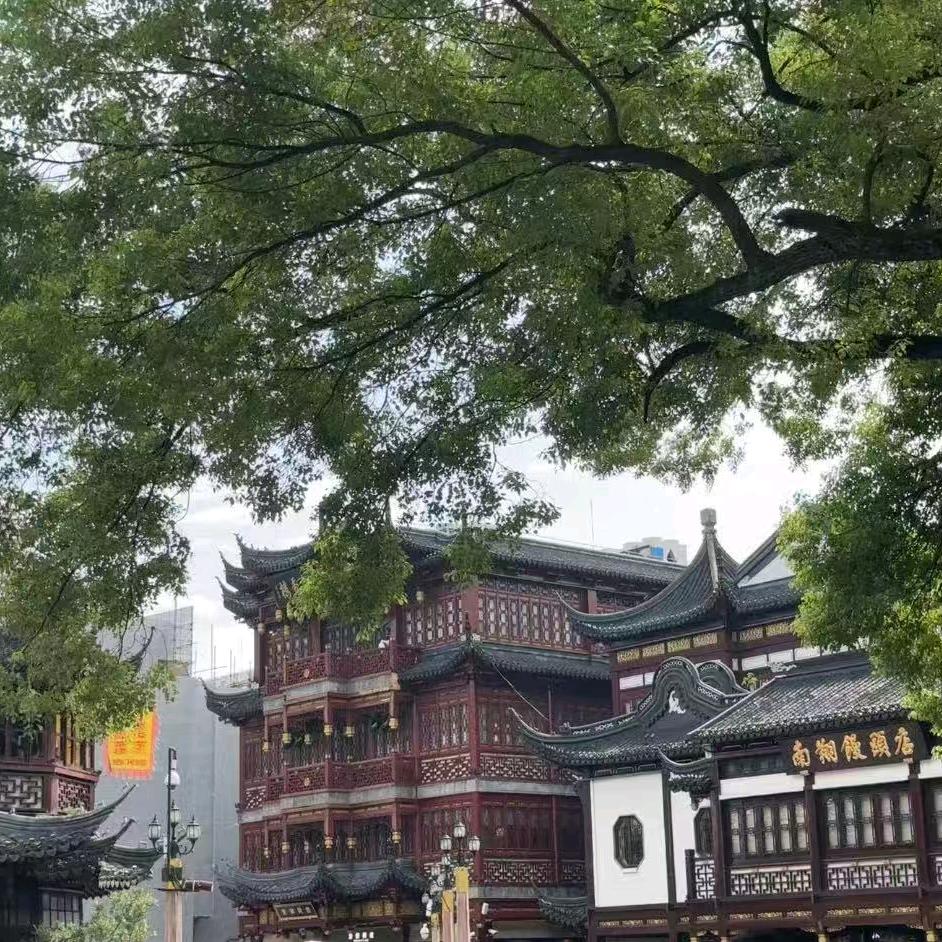 疯狂星期三