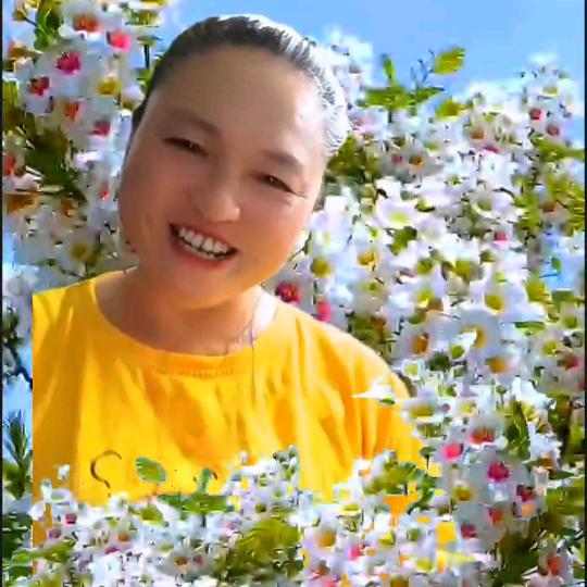 太阳陈姐大锅菜