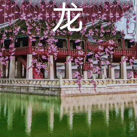 龙二，粘贴瓷砖大理石，有团队