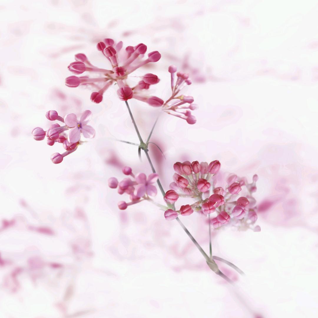 a小小涵