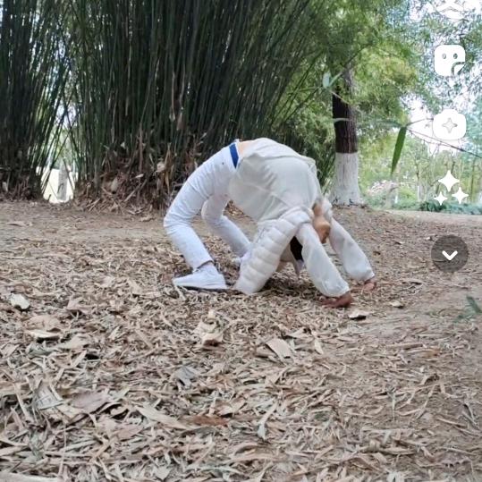 白玫瑰