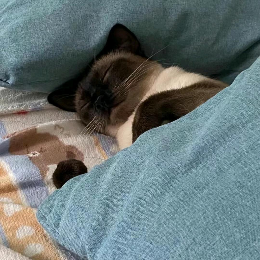姜乔🌈