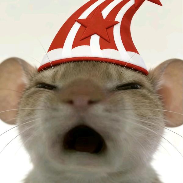炽