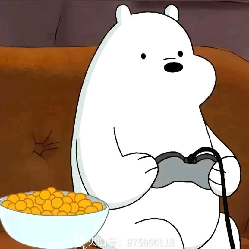 南极的白熊