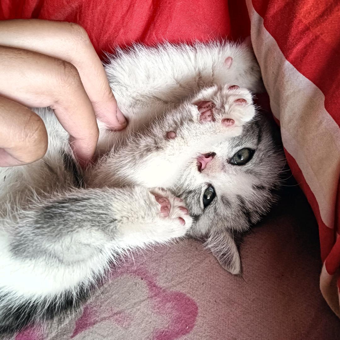 你牛皮