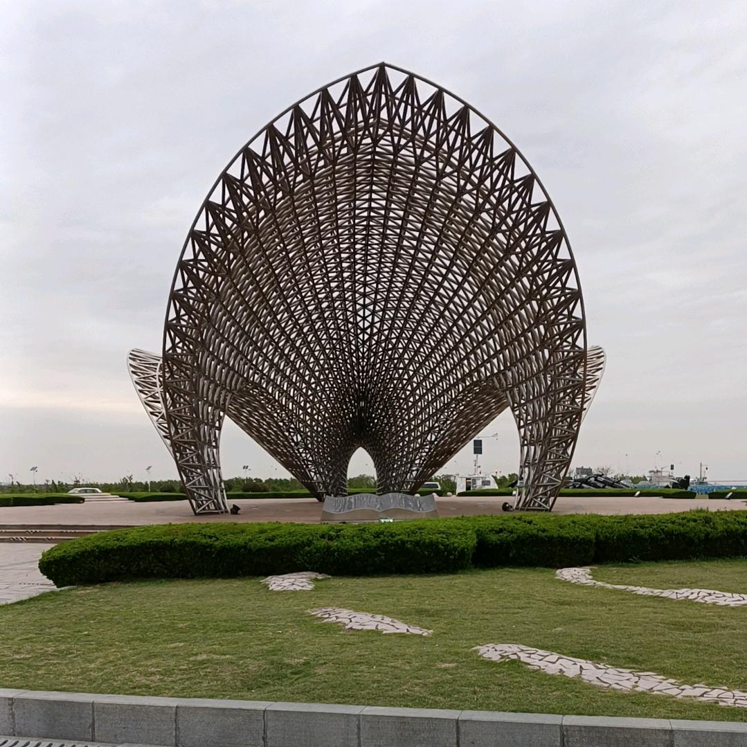 月季花