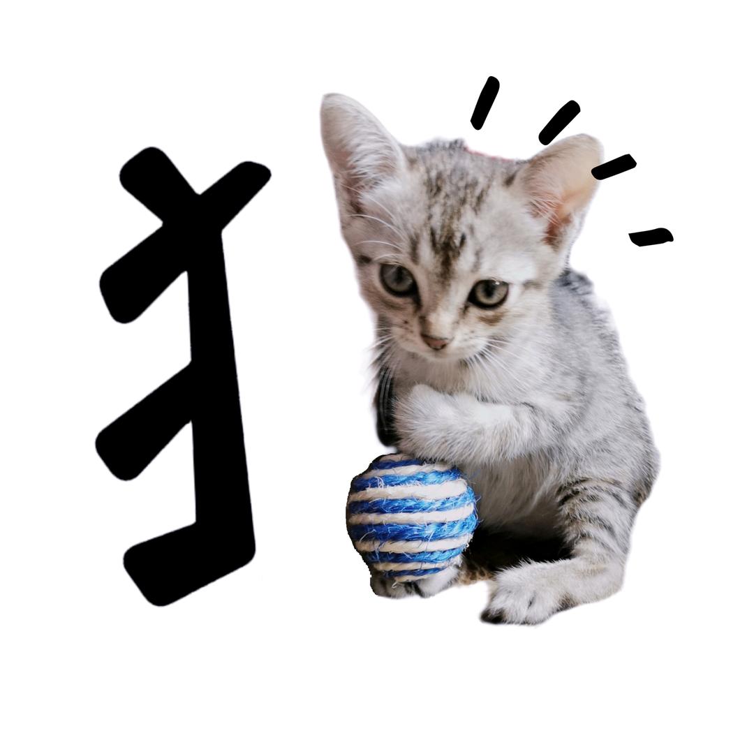 暴脾气的白螃蟹