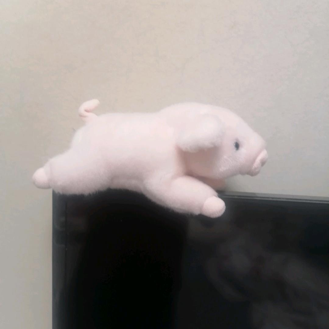 东北延军🇨🇳