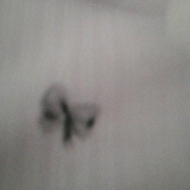 pprint
