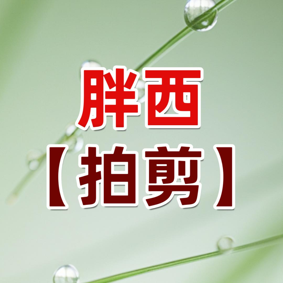 胖西【拍剪】
