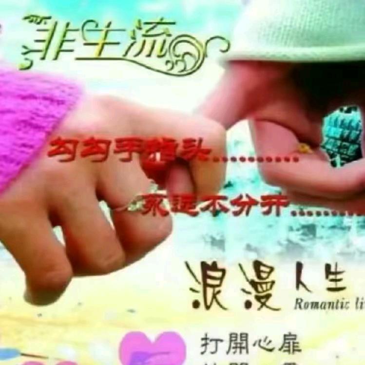 河南大哥