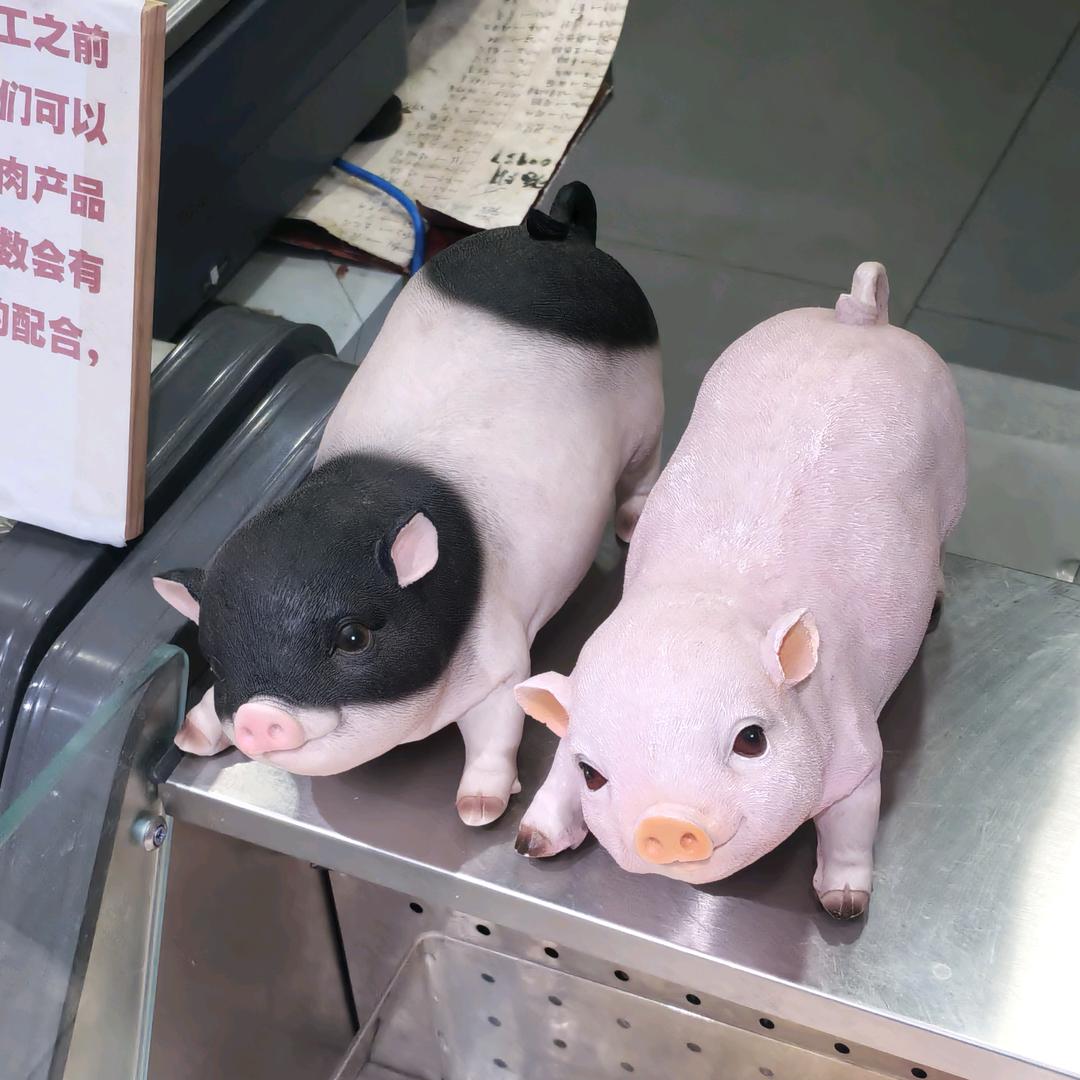 少管本少